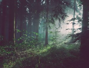 The end of the Red Corridor: how Amit Shah’s March 31 deadline became a turning point in Indian history